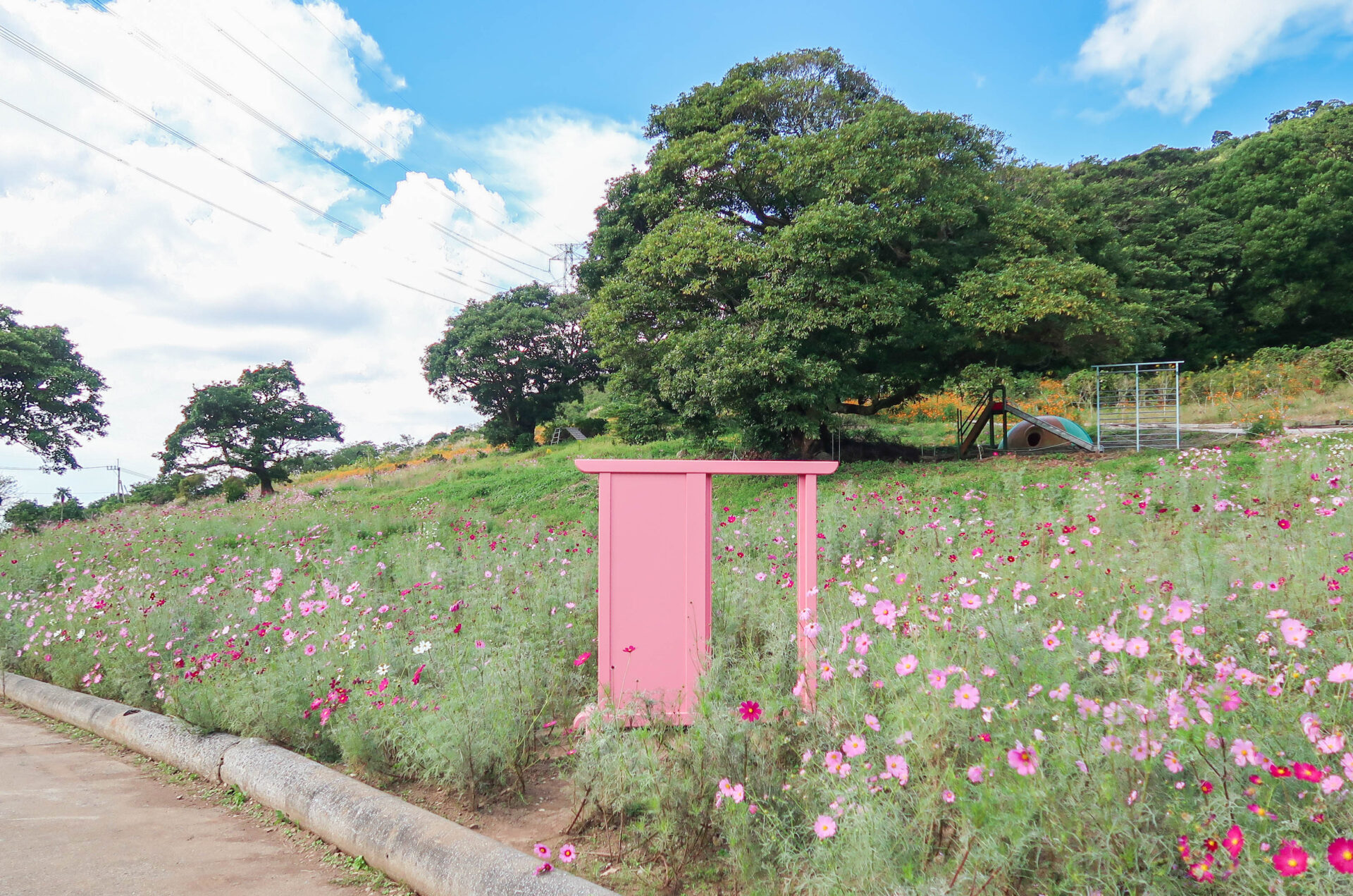 薩摩川内市「柳山アグリランド」四季の彩りが広がる絶景スポット