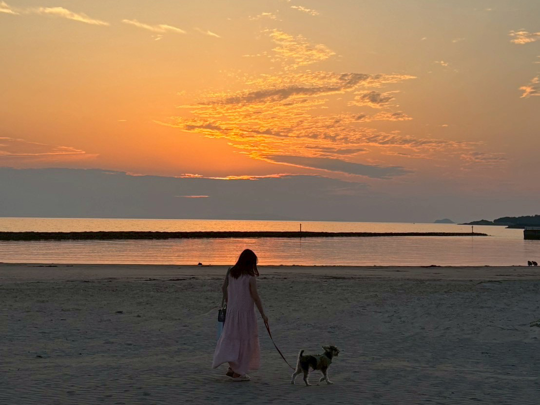 日曜日の夕方の過ごし方。