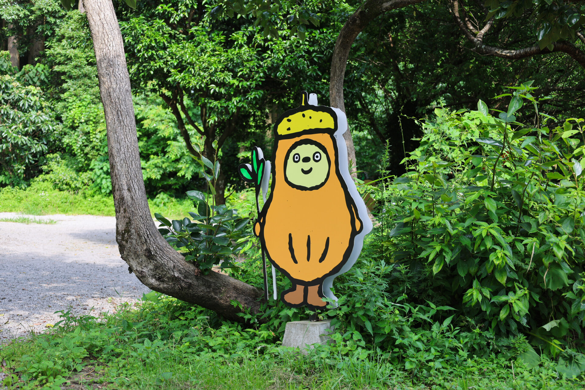 美山の遊び場「cocoNotsu」で五感と季節をめぐるカフェやアート