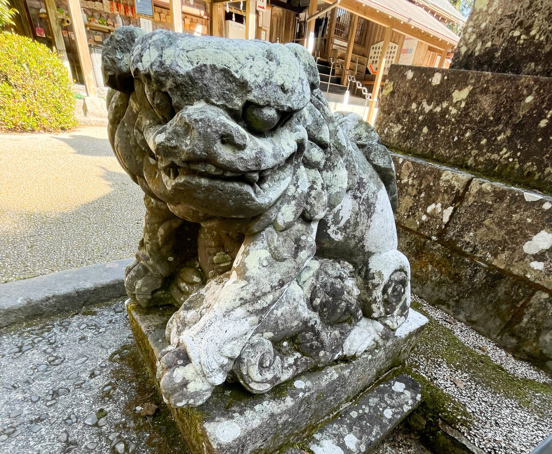 神社でお出迎え！愛すべき狛犬（と、その仲間）に会いに行こう