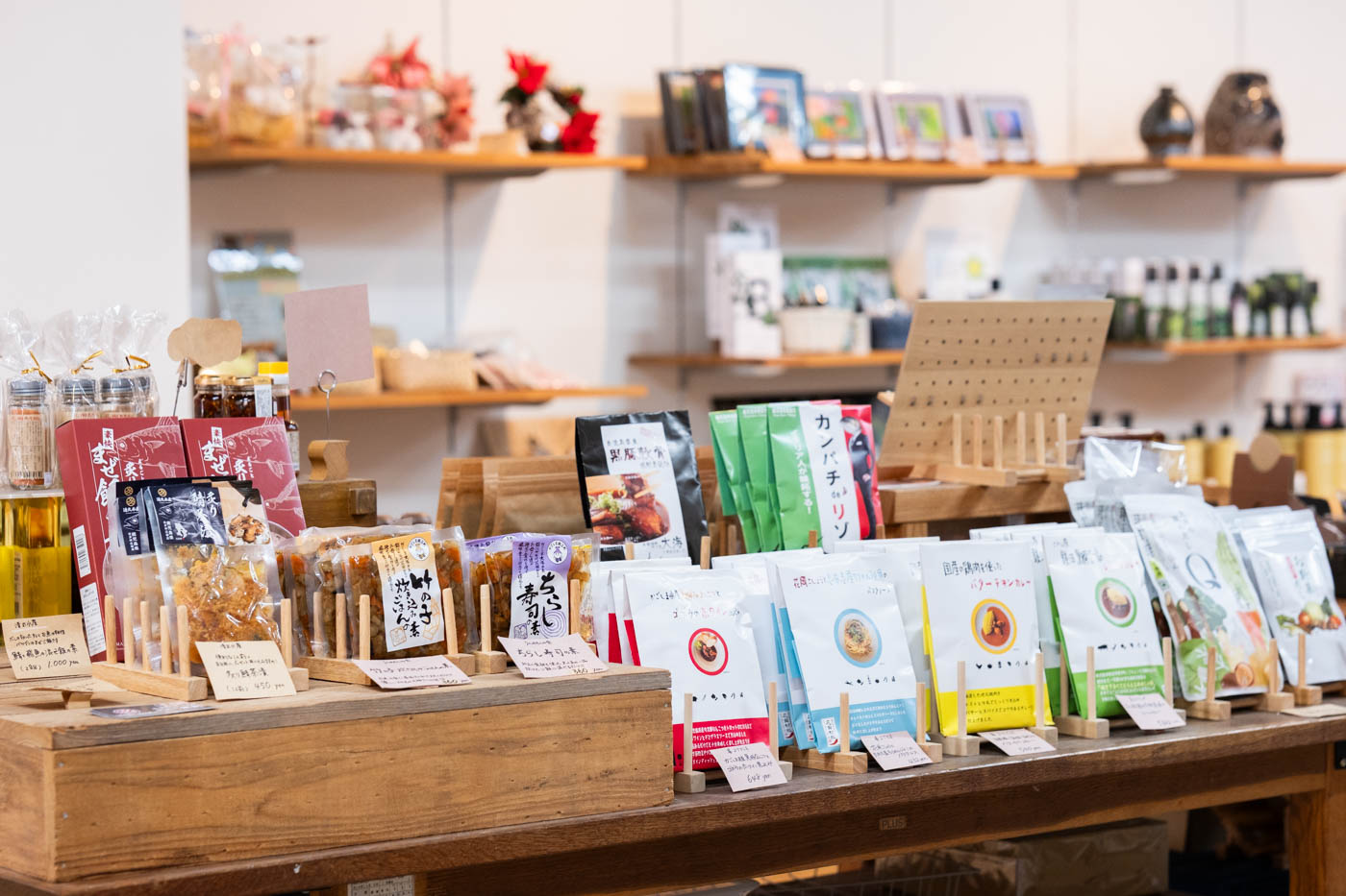 「KITADA SARUGGA」大隅・鹿屋の雑貨や食品に出合えるショップ＆カフェ