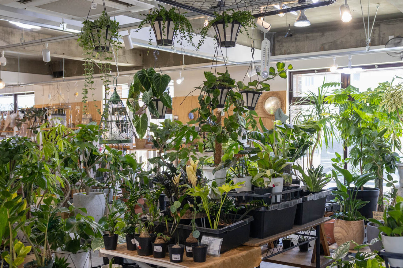 植物を眺めて、雑貨を選んで、カフェでひと息。「トキメキの森」で心がときめく時間を