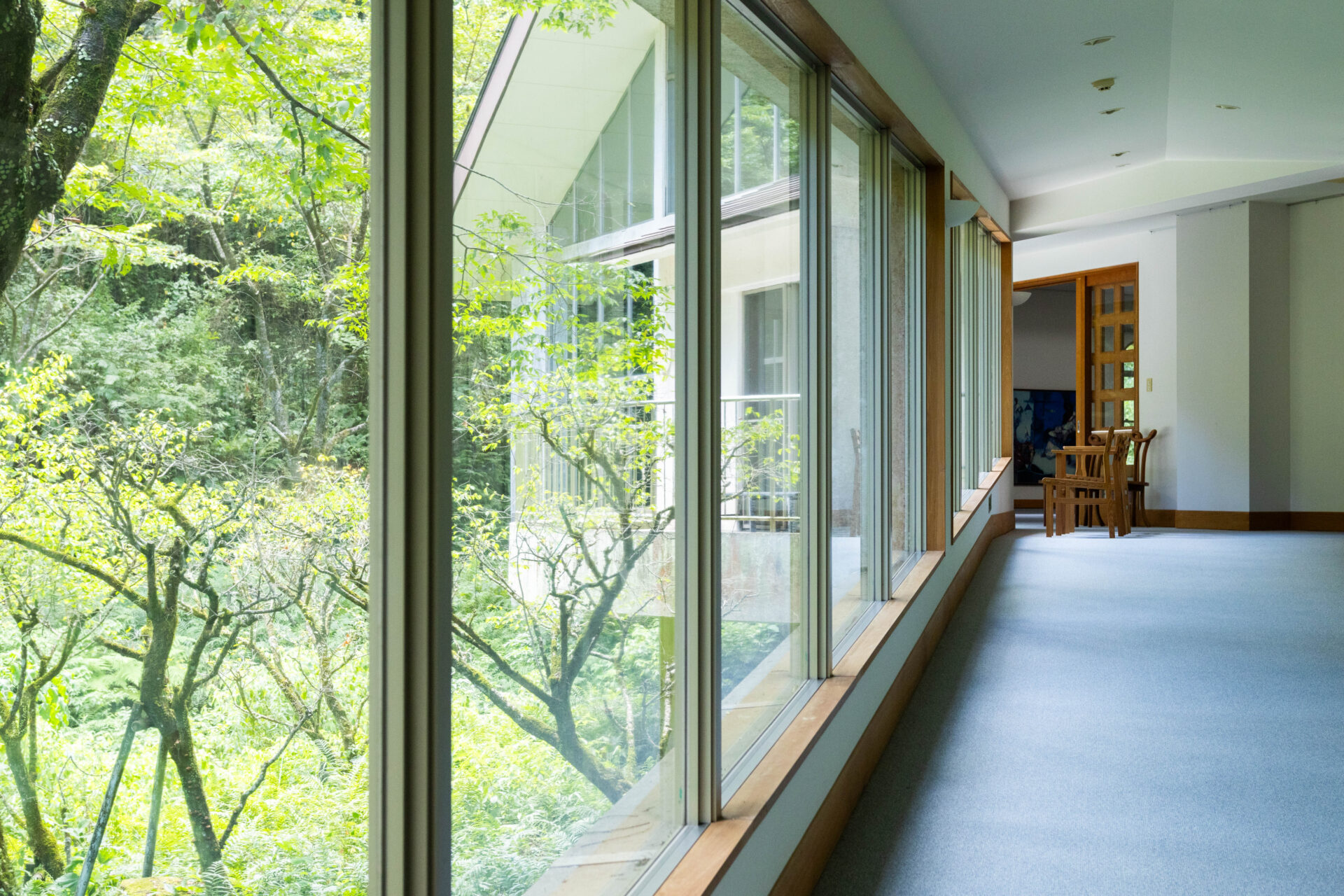 【鹿児島市】樹々と語り、名画と語る。「児玉美術館」で自然と芸術に触れる