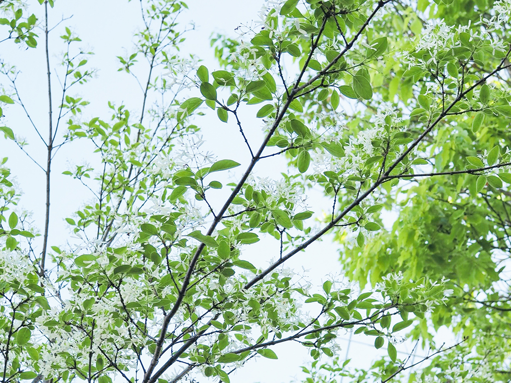 継続ってむずかしい？怠惰な私がちょっとだけ意識を変えて、40代から習慣にしたこと