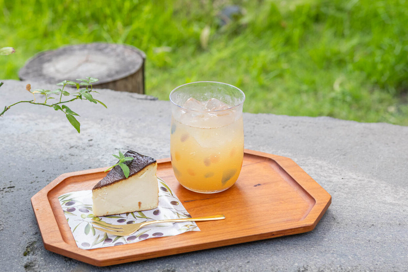 植物を眺めながら過ごすカフェタイム。東佐多町のカフェ＆グリーンショップ「FORUM SHOP」